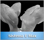 Sistema E Max